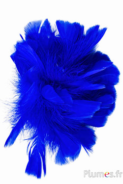 Kalkoen - Ø 18 cm - blauw